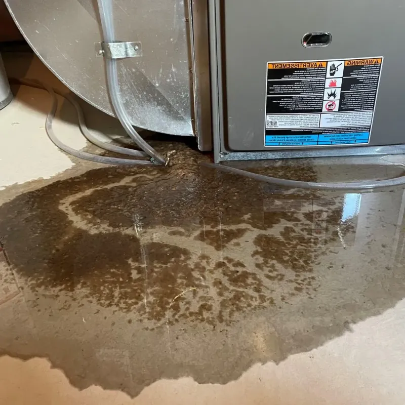 Pipe Burst and Leak Restoration in Pineridge, SC