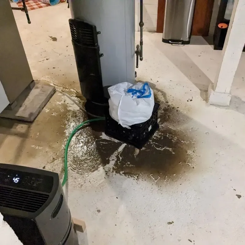 Sewage Backup Cleanup Service in Pineridge, SC